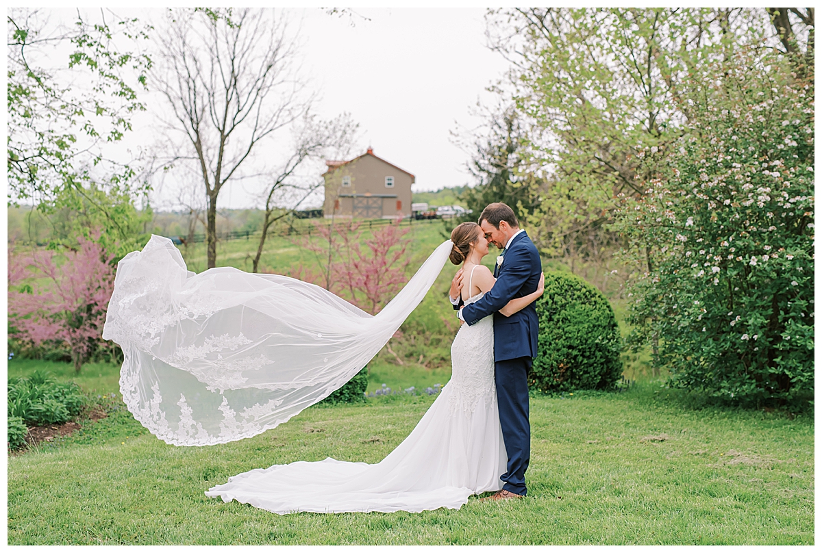 veil photo, wedding photo with veil, bride with veil photograph, wedding dress