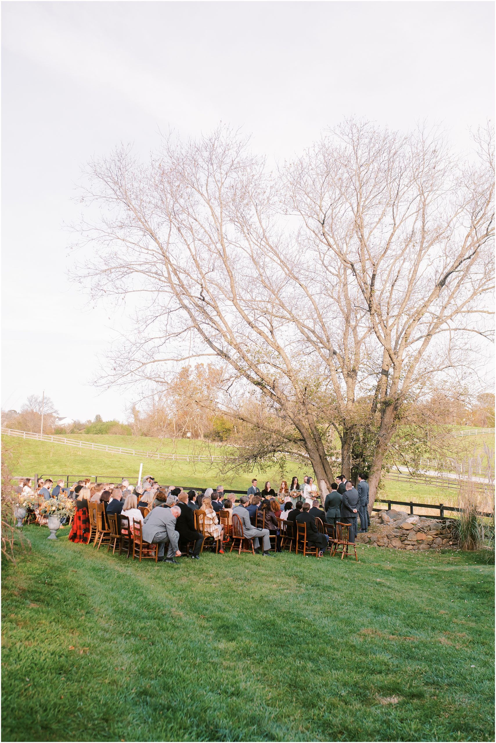 Wedding guests sitting for ceremony at Tranquility Farm
