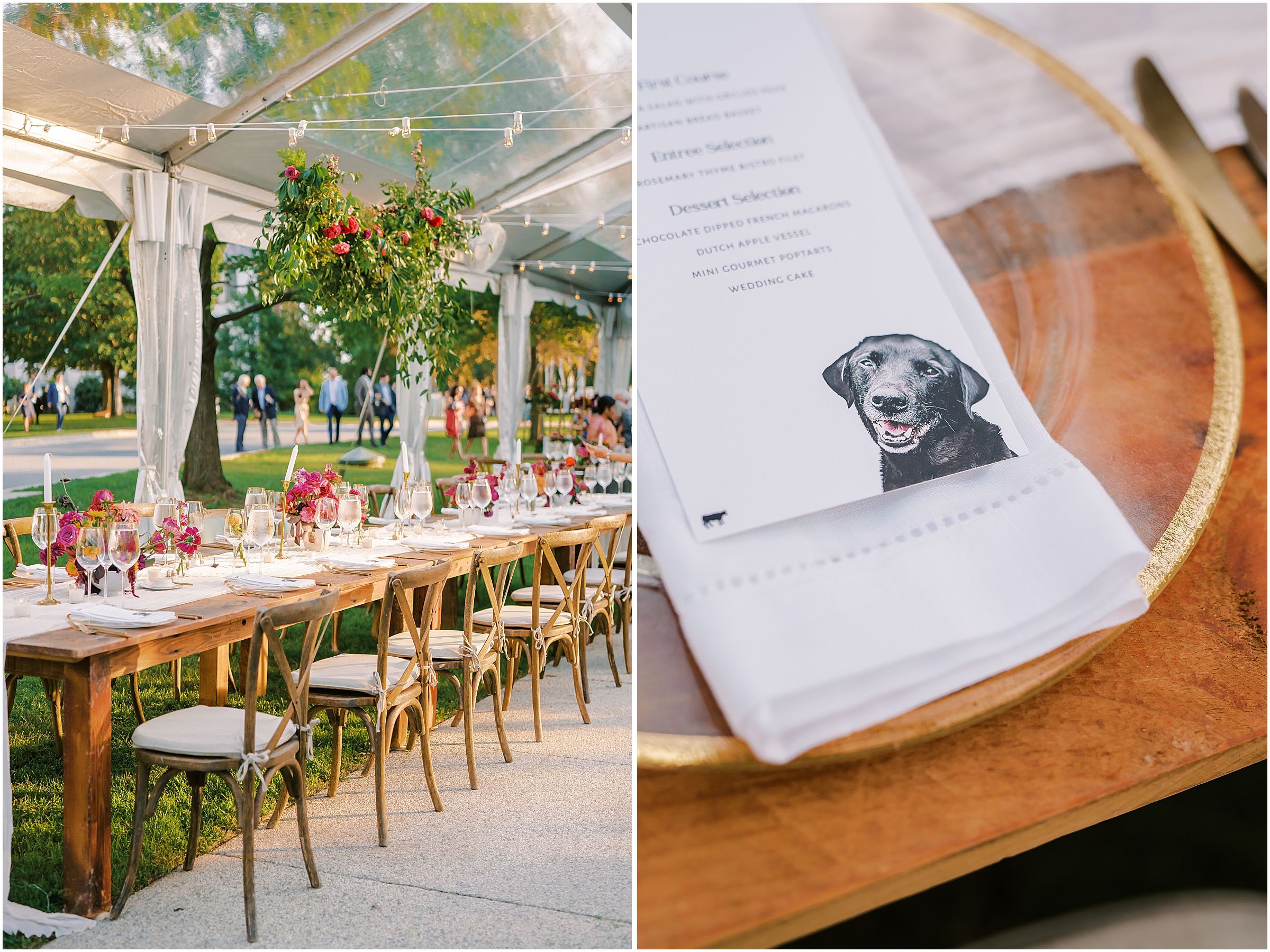 Wedding reception decor and custom menus with dog portrait