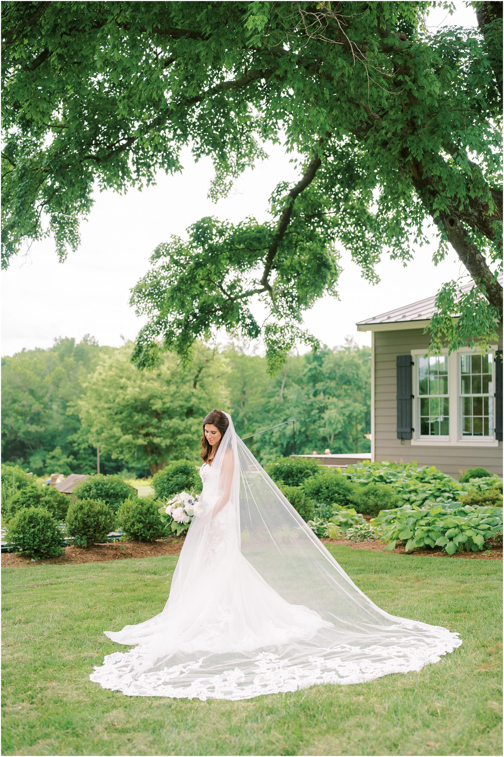 Bride portrait wearing white lace wedding dress with long veil